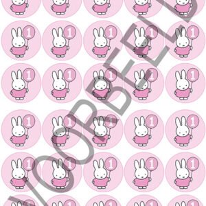 Eetbare Cupcake Print - Nijntje Roze - 1 - 30