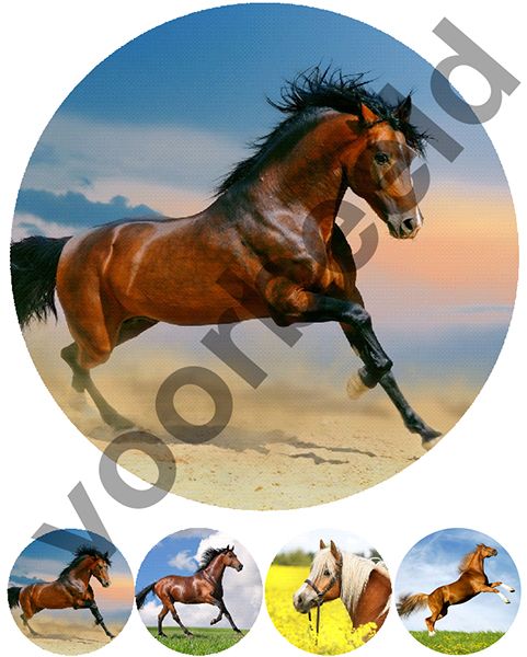 eetbare-print-paarden-3