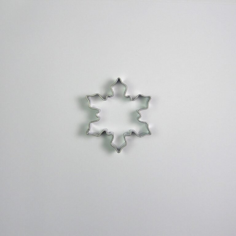 Uitsteker Sneeuwvlok RVS 5cm